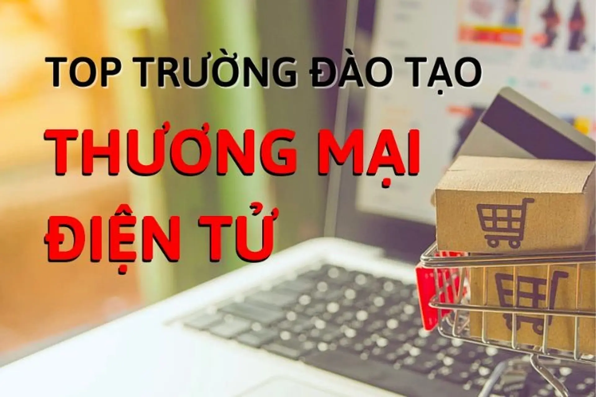 Các trường đào tạo ngành Thương mại điện tử tại Việt Nam